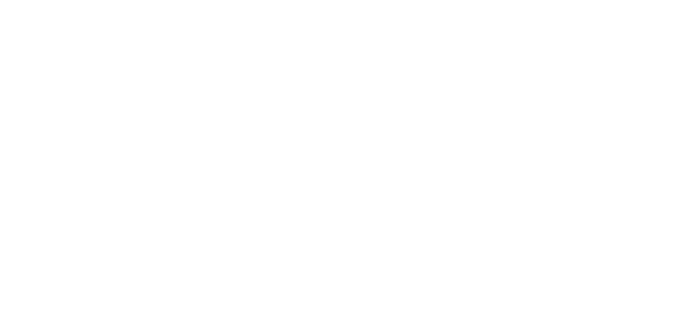 Logo Boreales Vertical Life